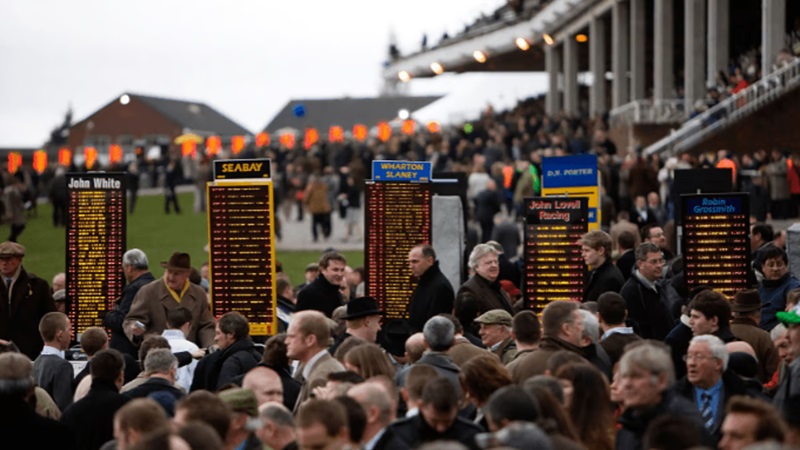 Cheltenham Festival Free Bets 2025