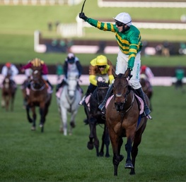 Cheltenham Festival 2026 Novice Chase Antepost Update