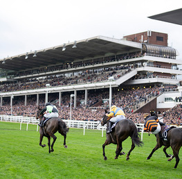 Best Long Shots For Cheltenham Festival 2026
