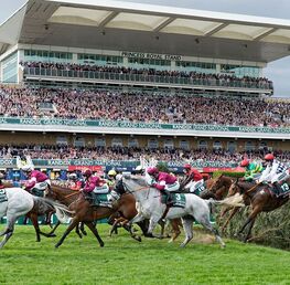 Best Bets For The Grand National