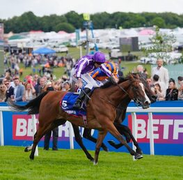 Soft Ground Specialists Looking To Dominate Betfred Derby